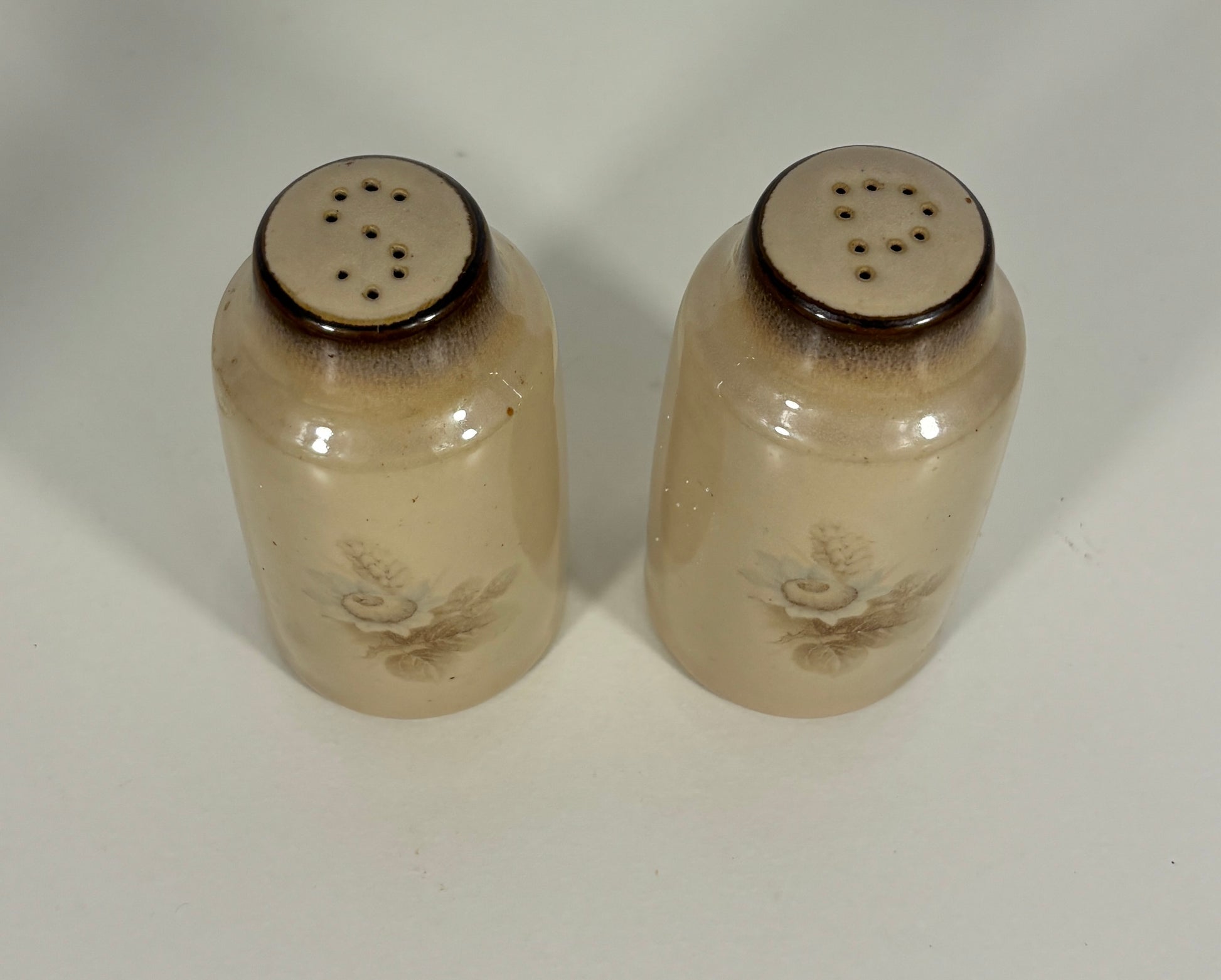 Denby Memories Salt and Pepper Shakers