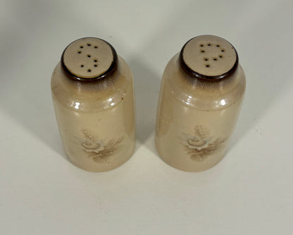 Denby Memories Salt and Pepper Shakers