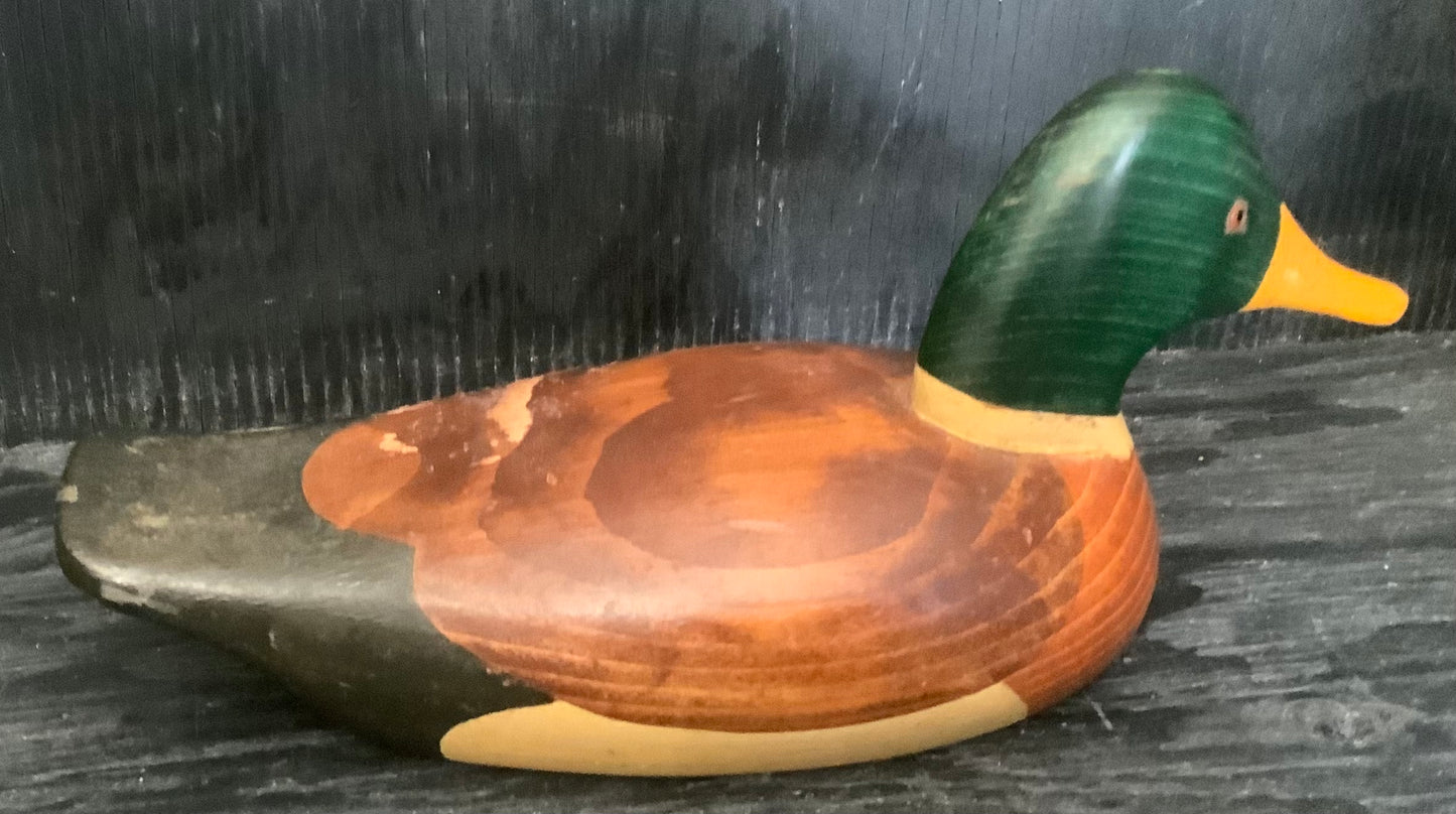 Jim Harkness Wood Duck