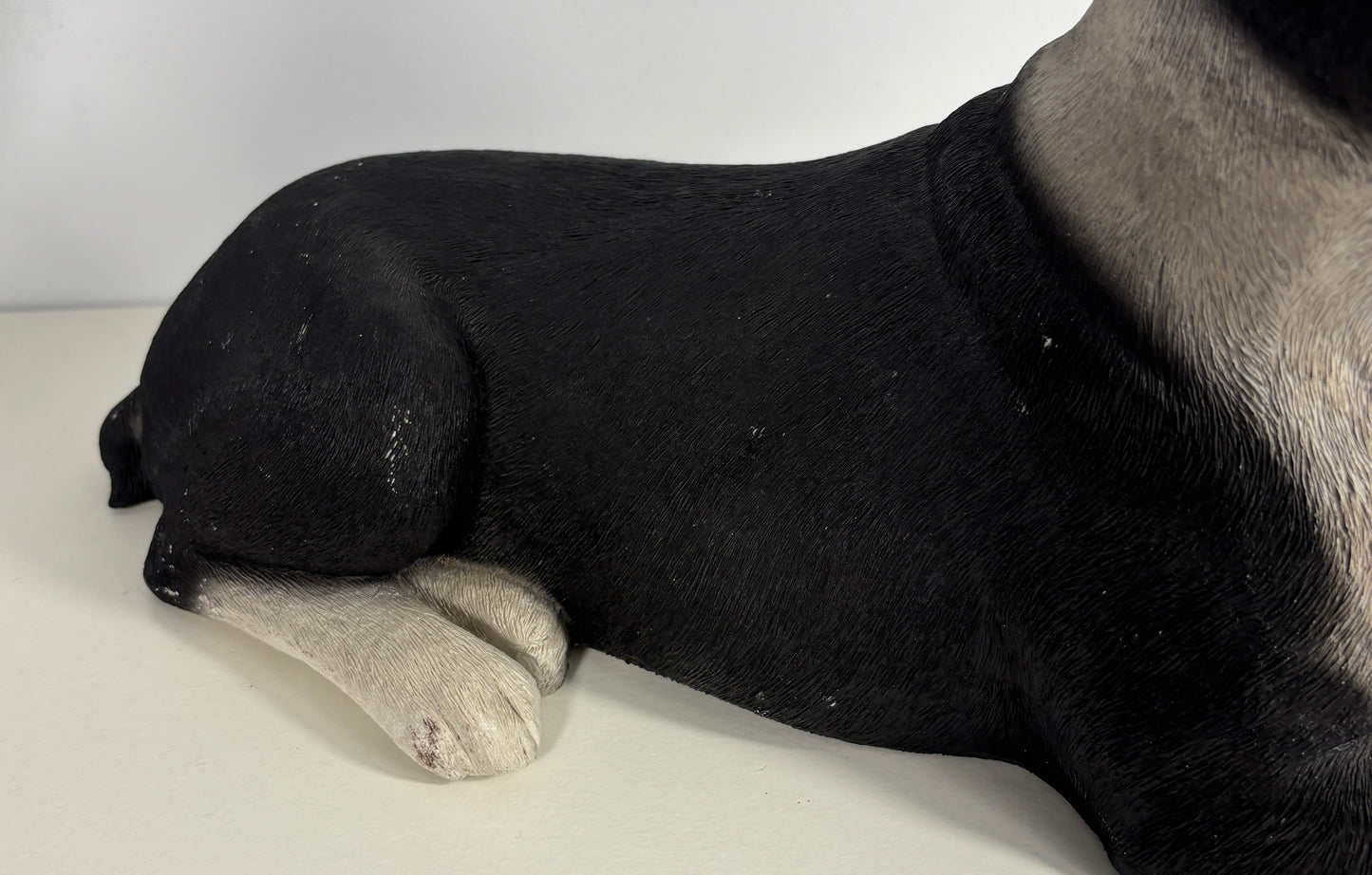 Sandicast Sandra Brue Boston Terrier