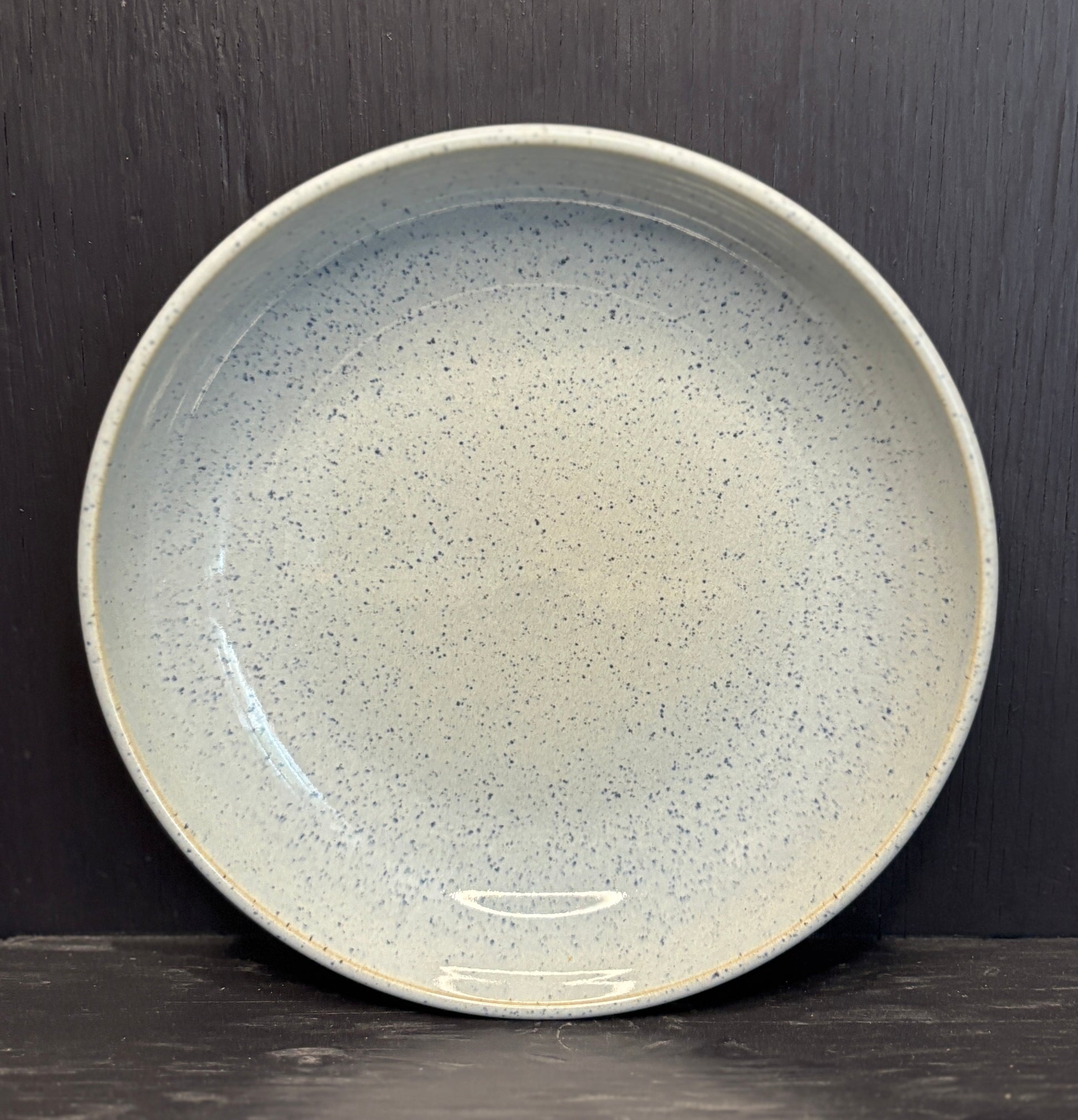 Speckled ceramic plate on a dark background