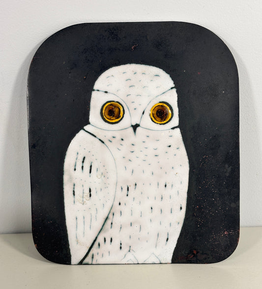 Mid Century Eren Owl Copper on Enamel Wall Hanging