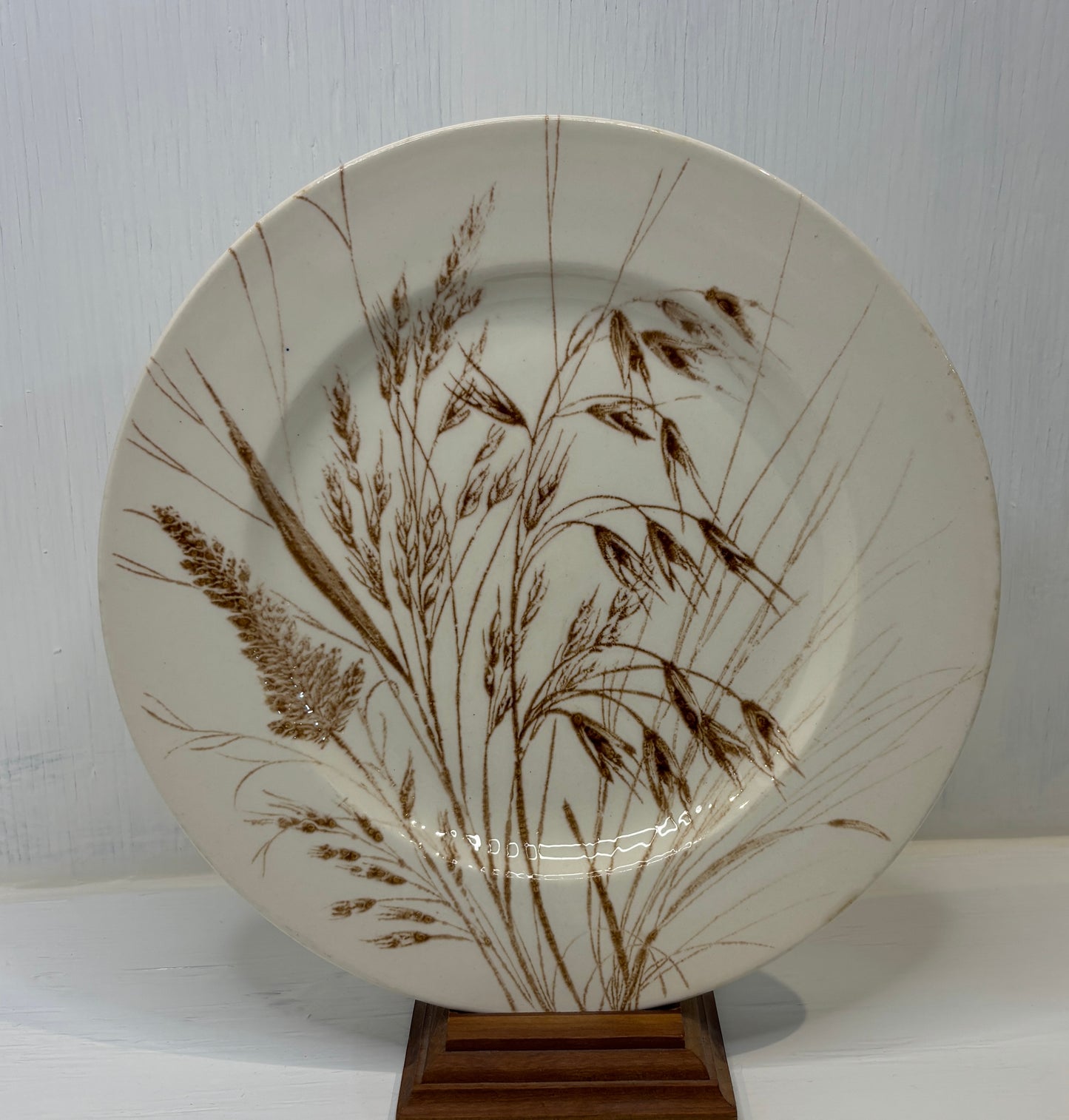 Ceramic plate with brown botanical design on a white background