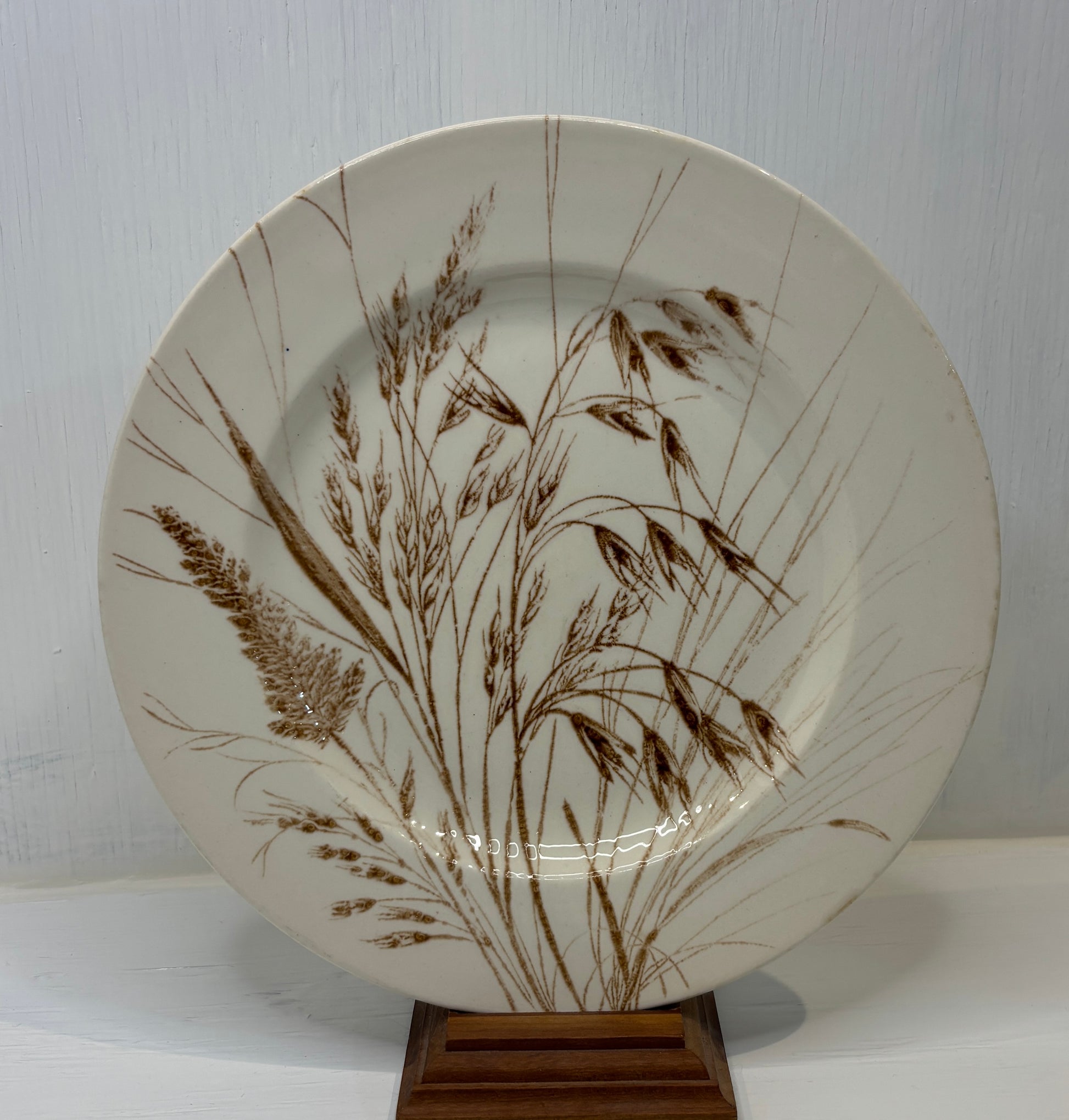 Ceramic plate with brown botanical design on a white background