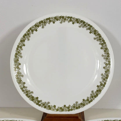White plate with green floral pattern on a white background