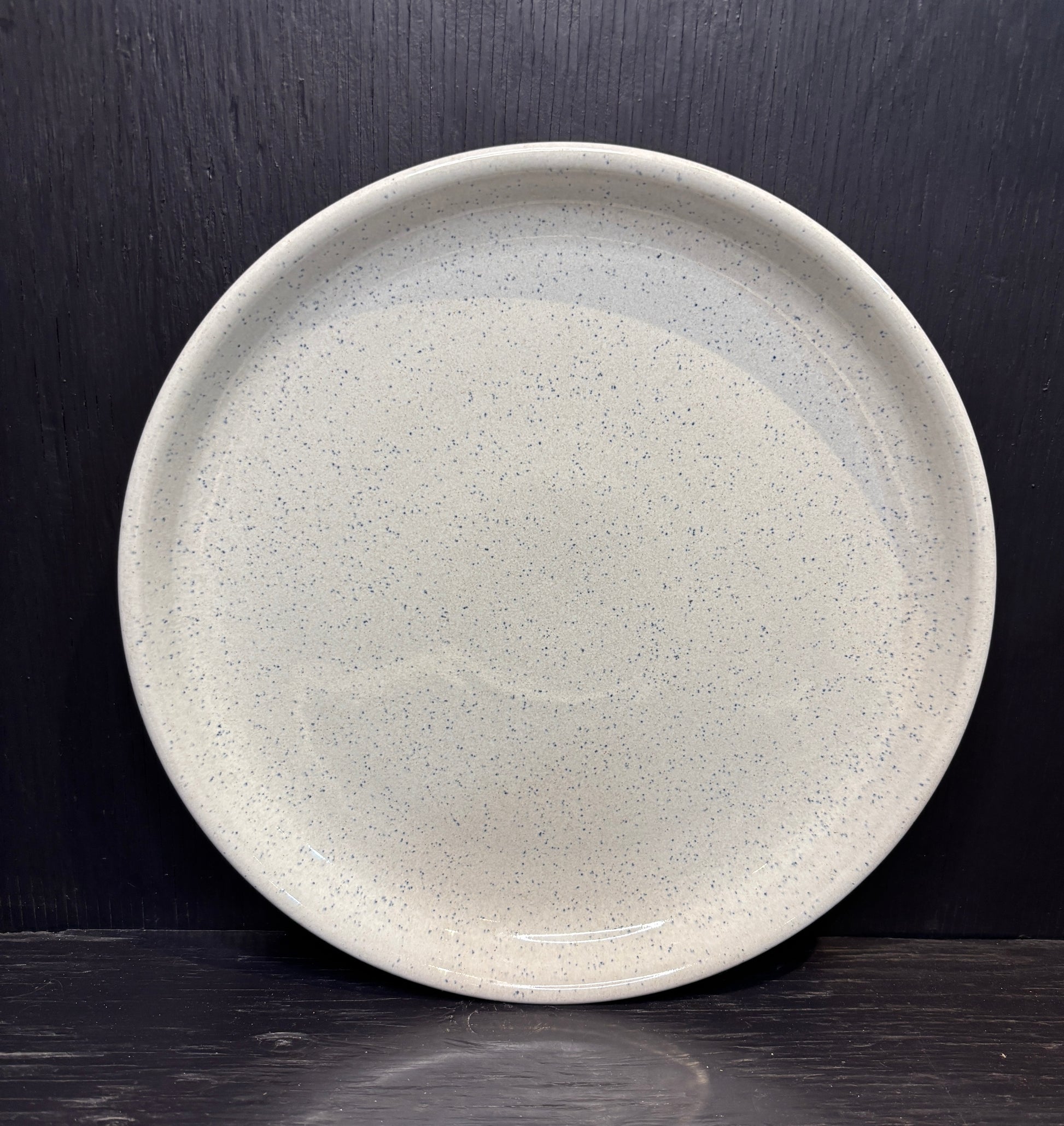 Round ceramic plate with speckled texture on a dark background