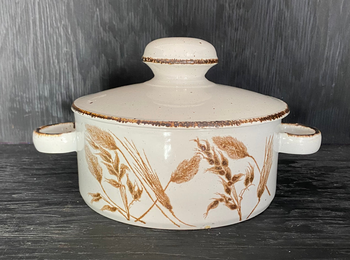 Stonehenge Midwinter Wild Oats Casserole Dish with oats flowing in the wind