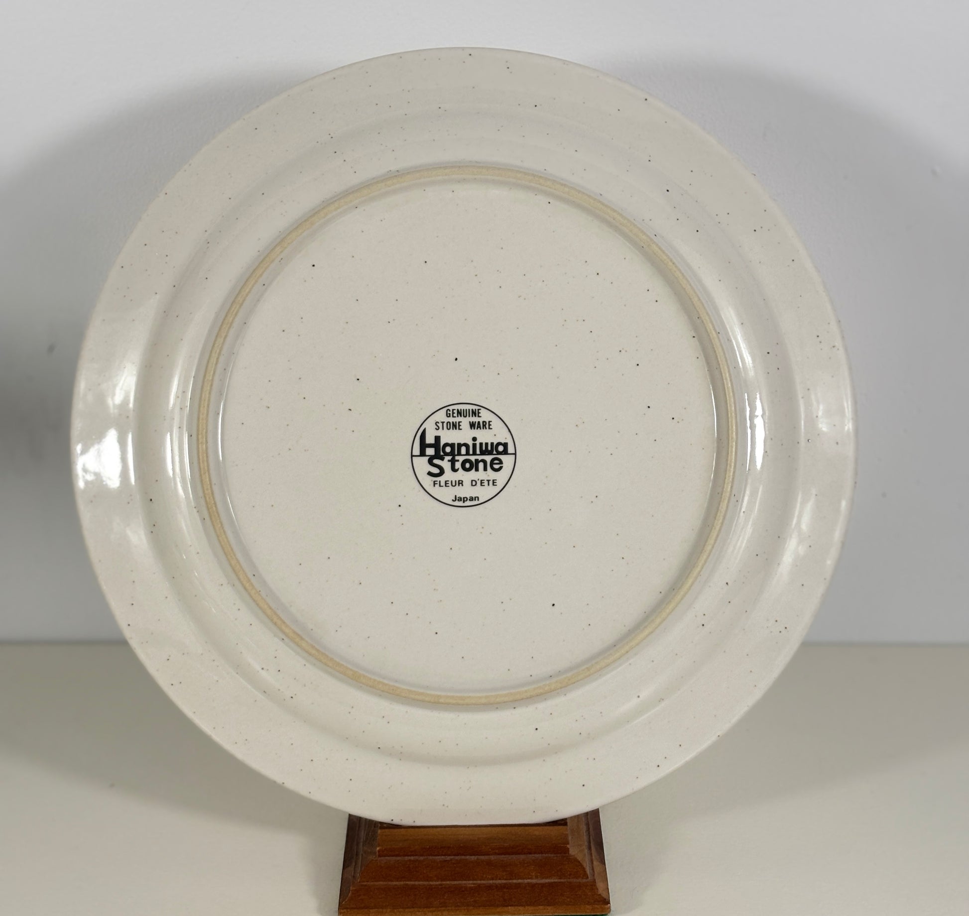 Haniwa Stone Fleur D’Ete Dinner Plates