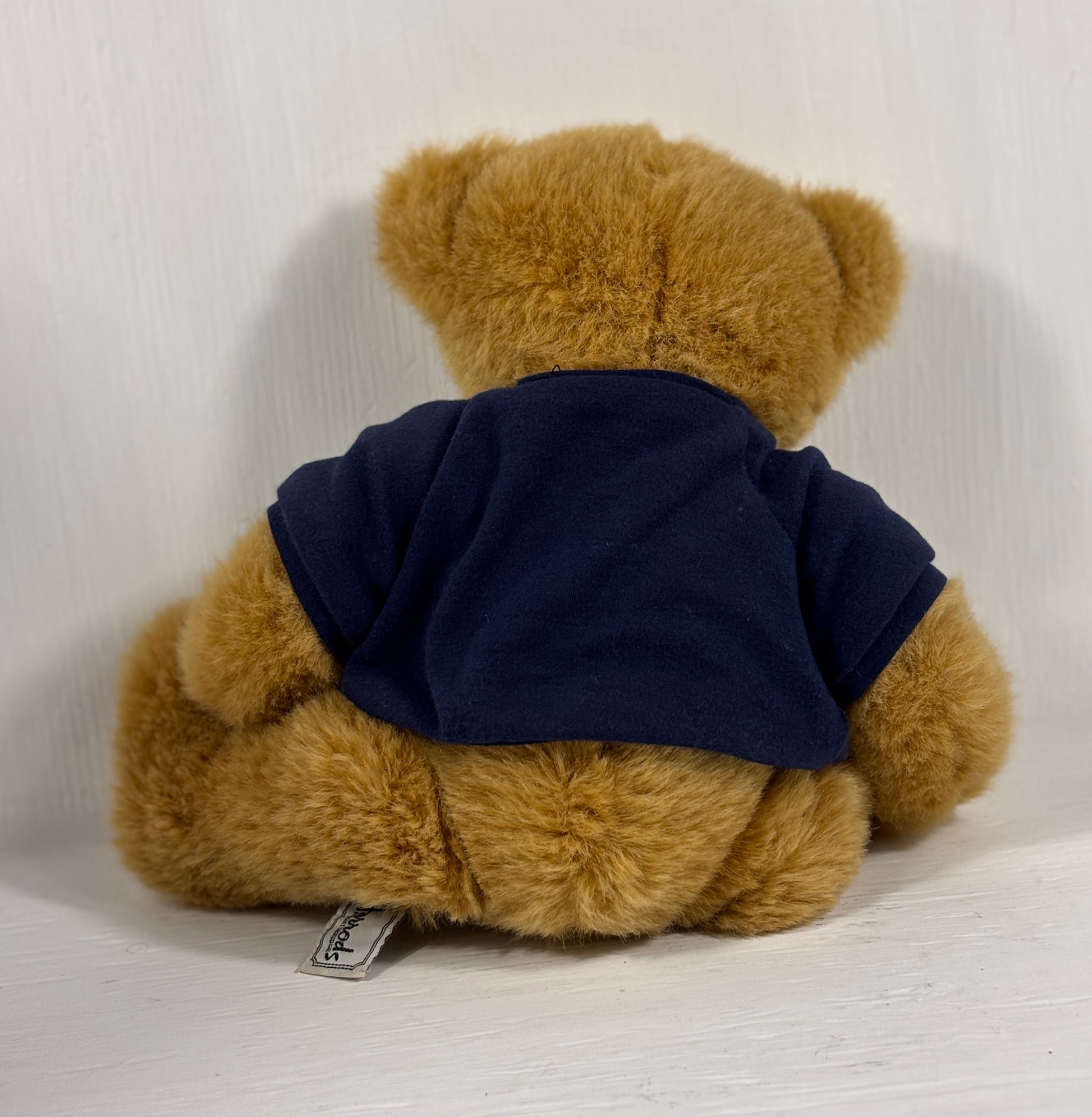 Brown teddy bear wearing a navy blue hoodie on a white background
