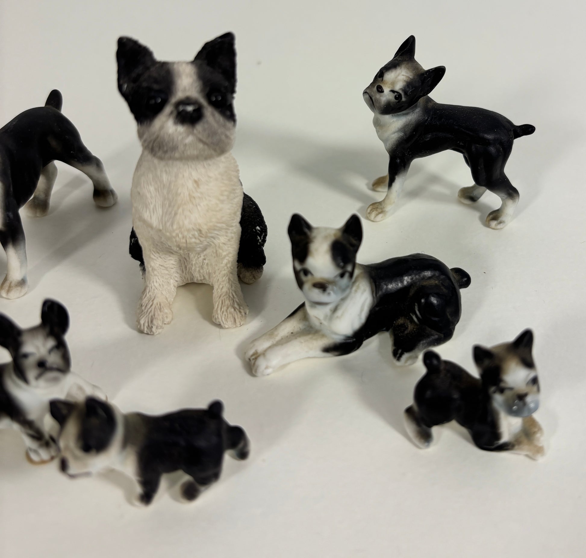 Lot of Boston Terrier Frenchie Mini Dog Figurines
