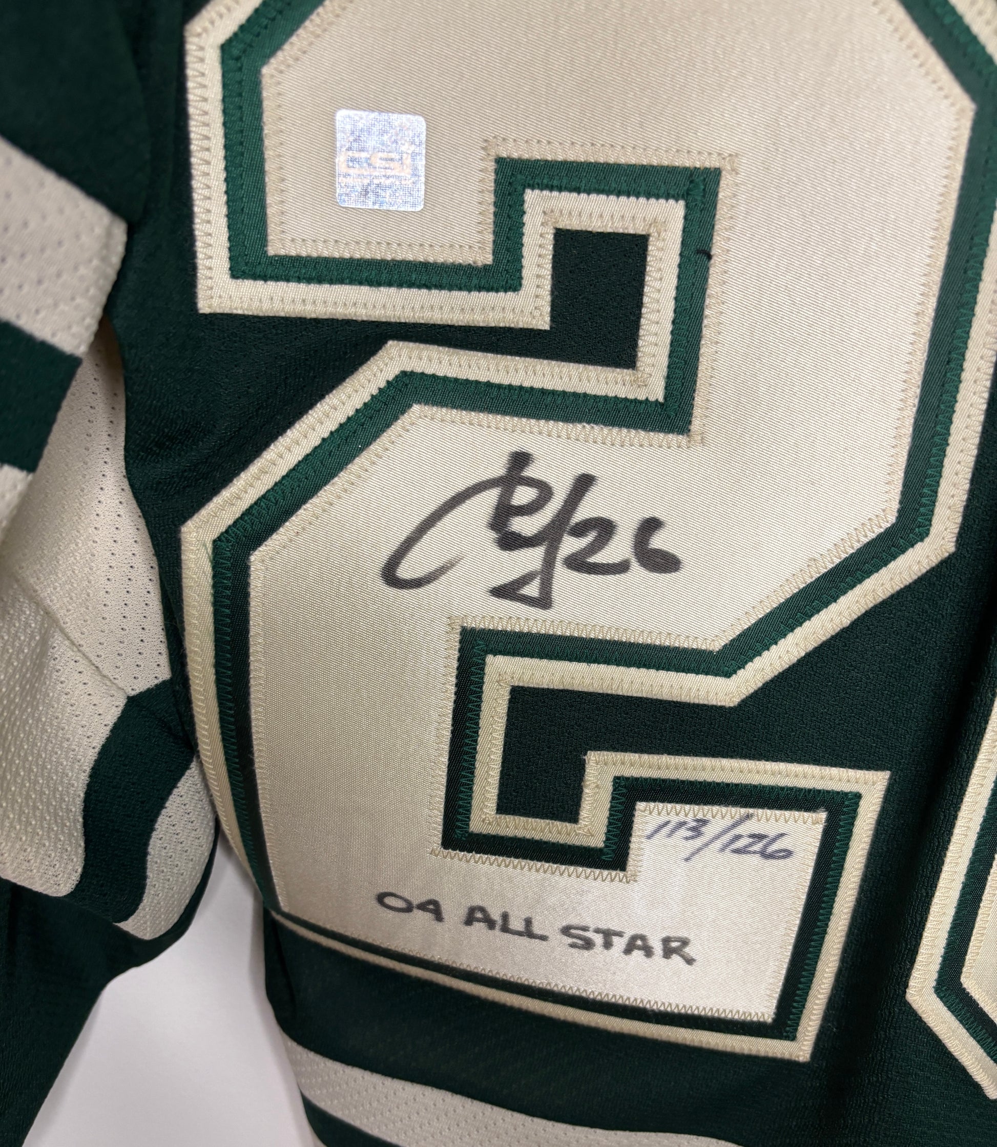 Rare Pavel Datsyuk Autographed 2004 All Star Jersey