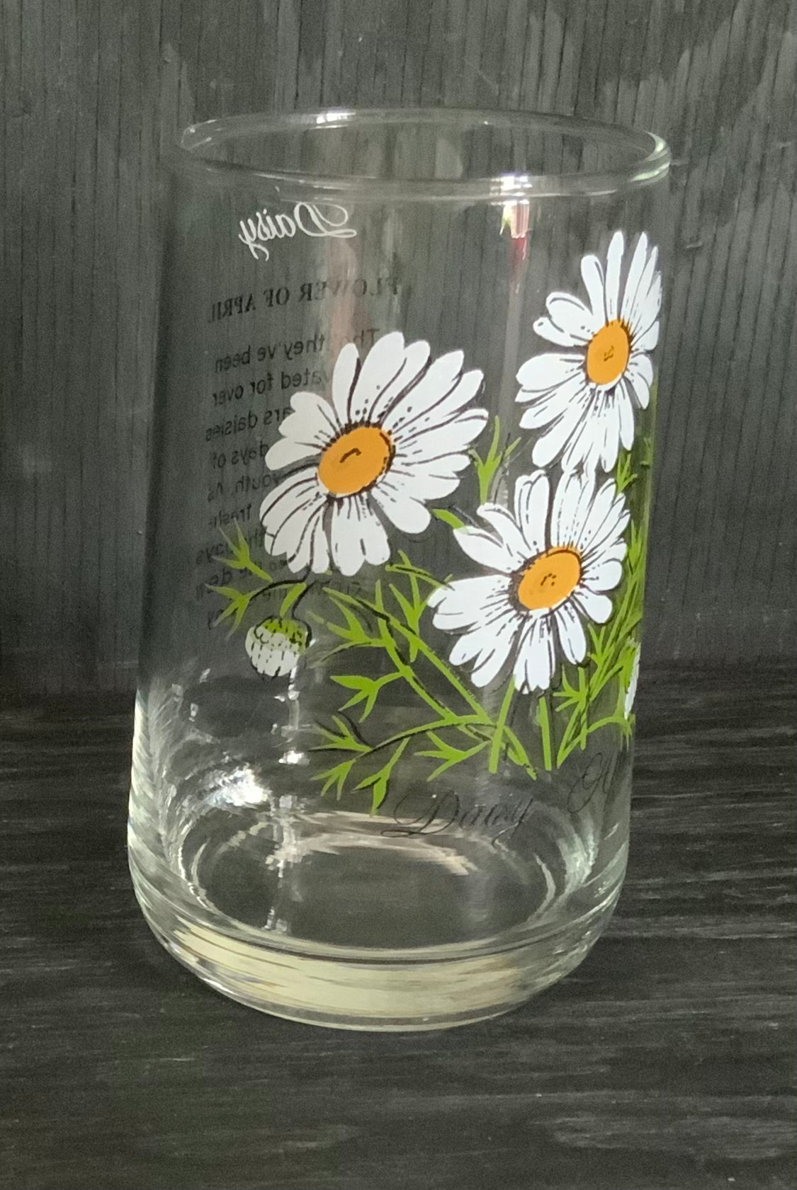 Dominion Glass April Daisy Flower of the Month Drink Glass