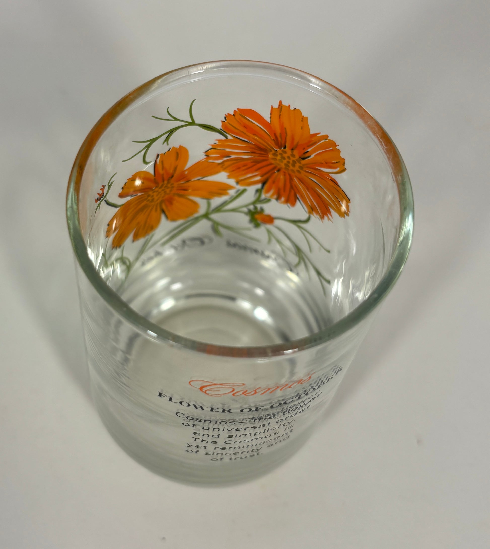 Dominion Glass Cosmos October Flower of the Month Glass Tumbler