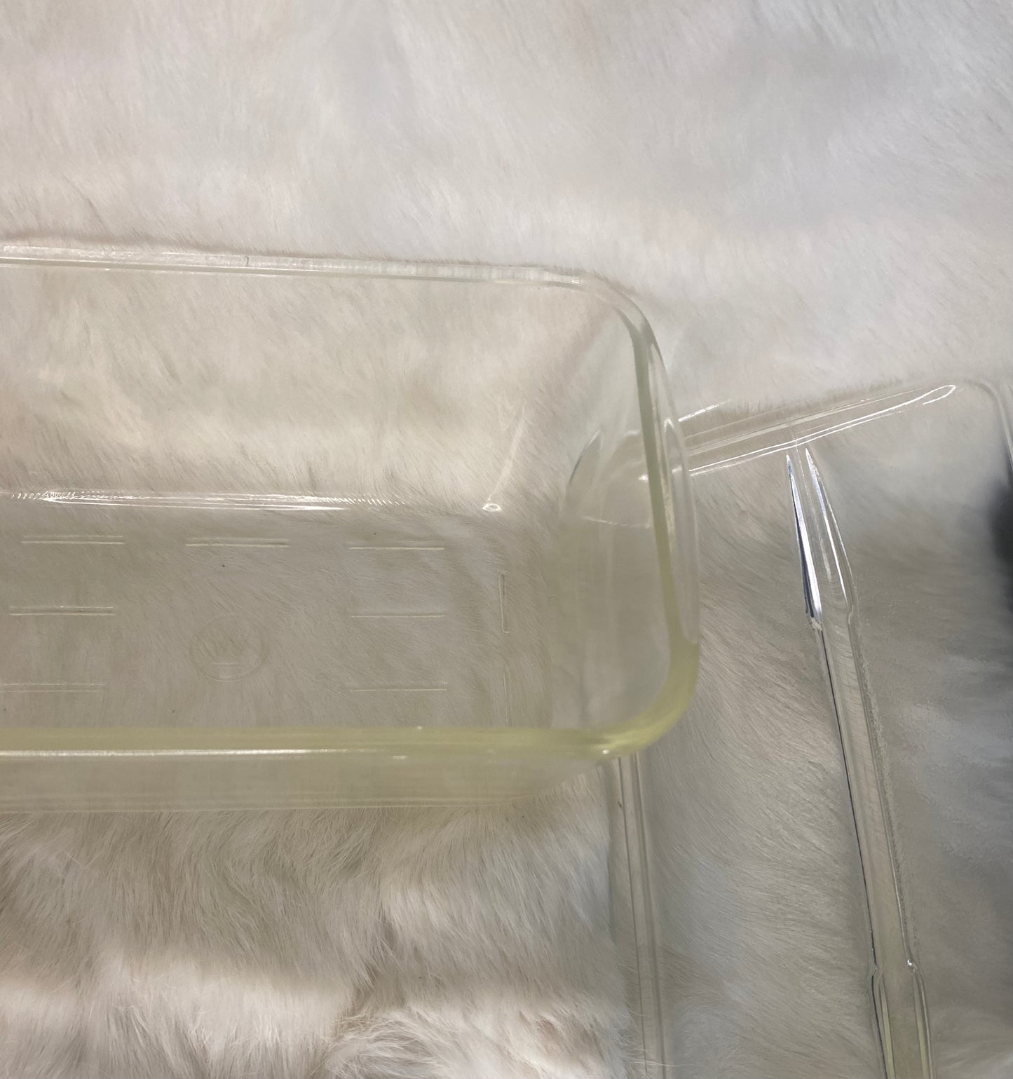 Westinghouse Clear Glass Refrigerator Casserole Dish