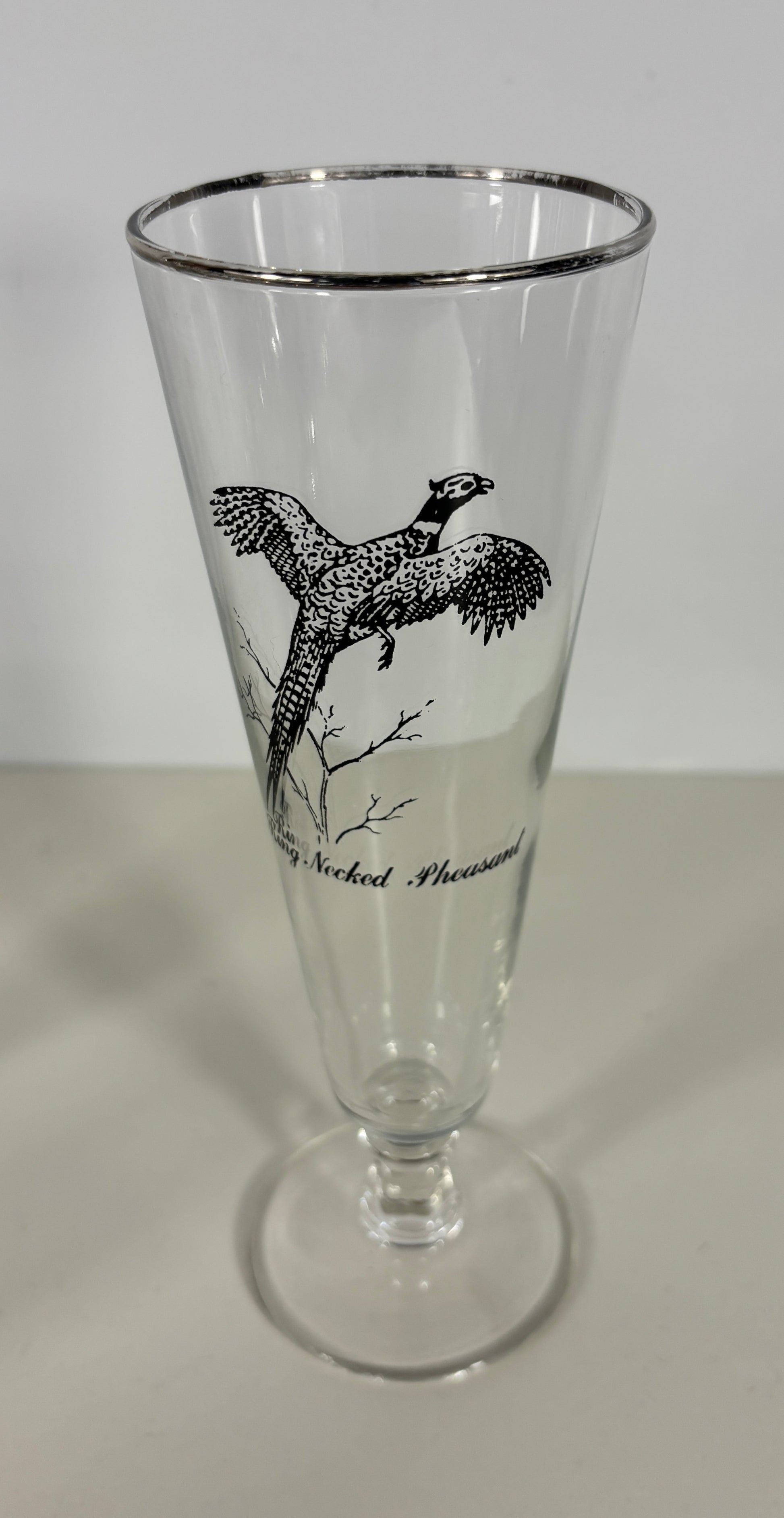 Clear glass with black bird illustration on a white background