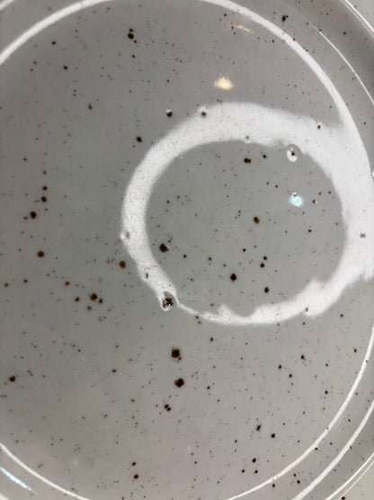 Stonehenge Midwinter Creation Dinner Plate