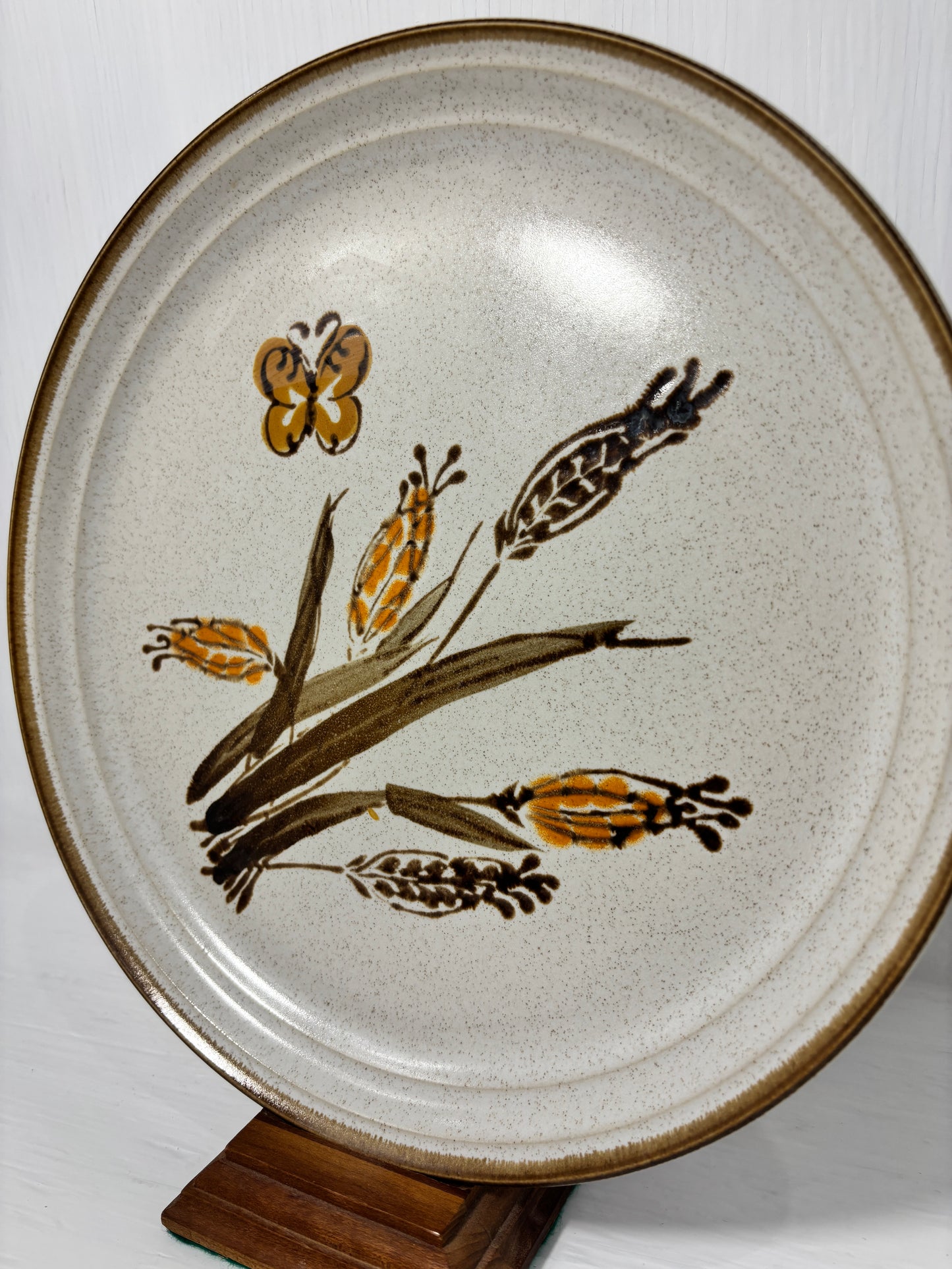 Mikasa Studio Kraft Prairie Dinner Plate