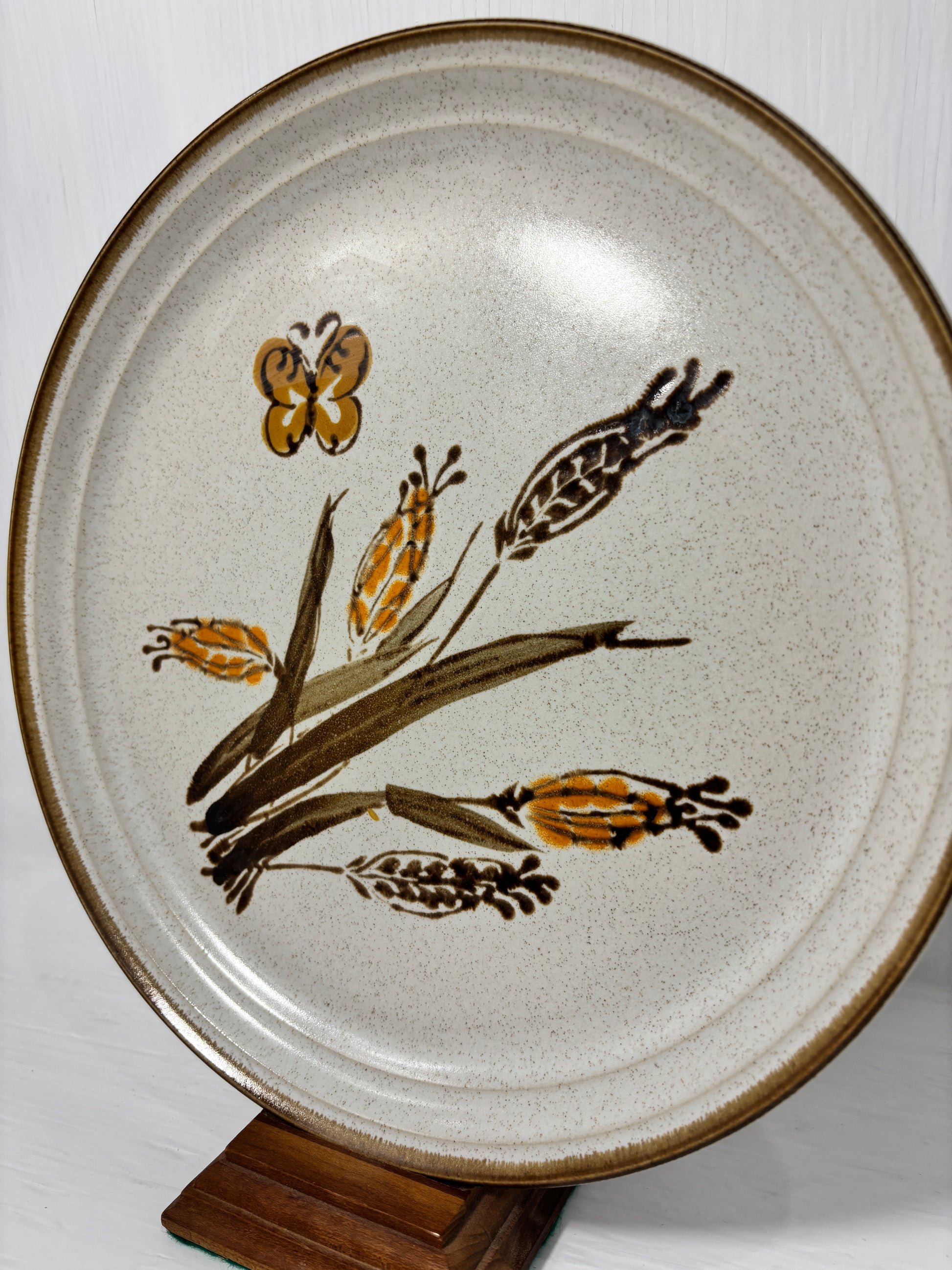 Mikasa Studio Kraft Prairie Dinner Plate