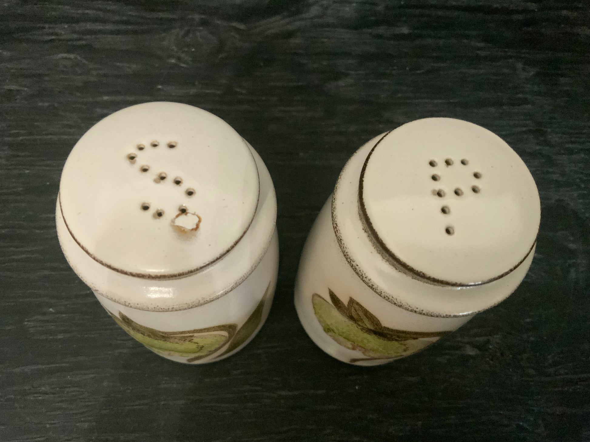 Denby Troubadour Salt and Pepper Shakers