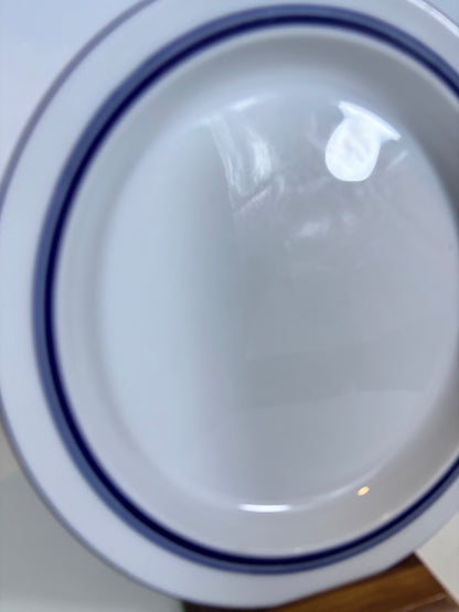 A close-up view of a white ceramic plate with two dark blue concentric rings near the rim, showing a glossy reflective surface.