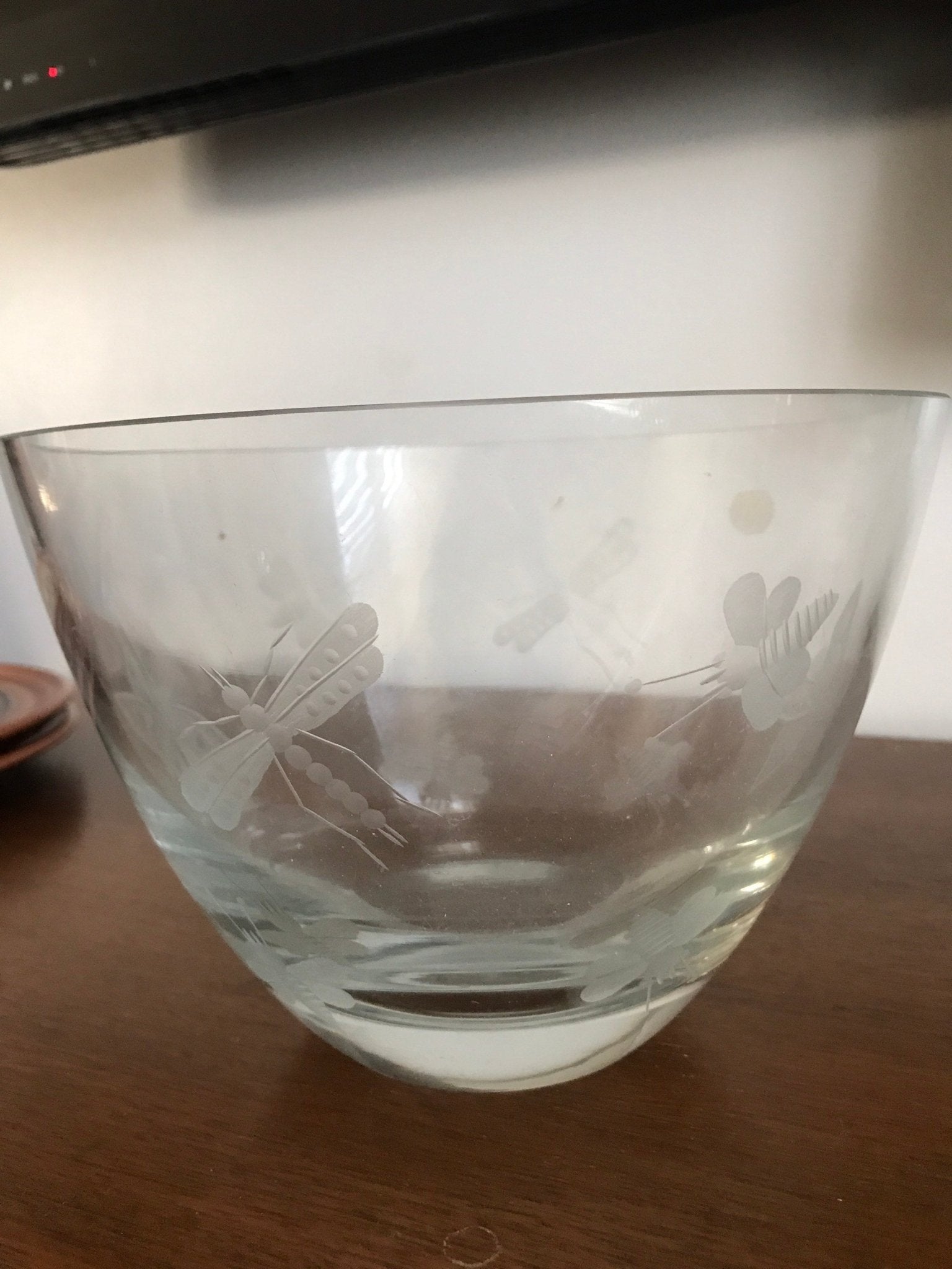 Abbott Collection Glass Salad Bowl with Etched Insects design - HLJ at HomeAbbott Collection Glass Salad Bowl with Etched Insects designBowlAbbott