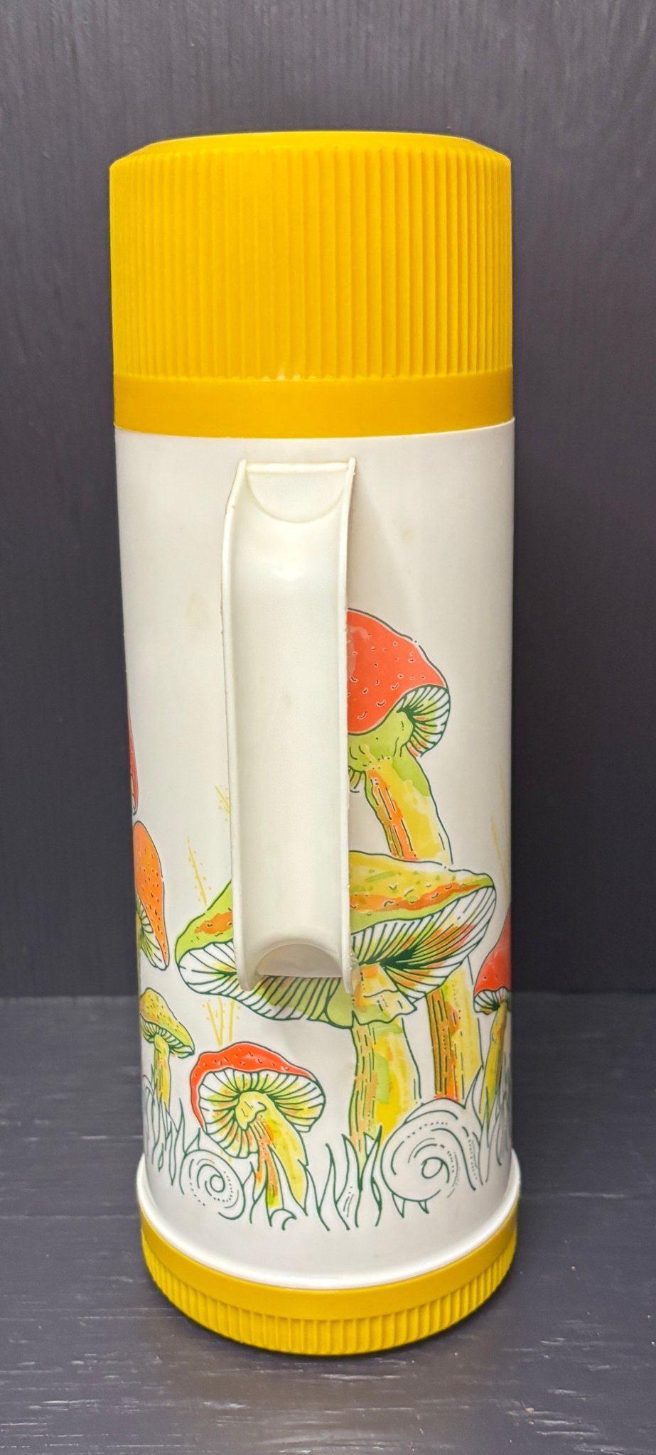 Aladdin Mushroom Theme Thermos