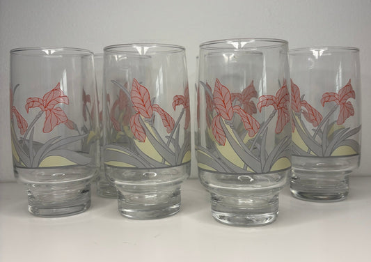 Arcopal France Diana Tumbler Glasses Set