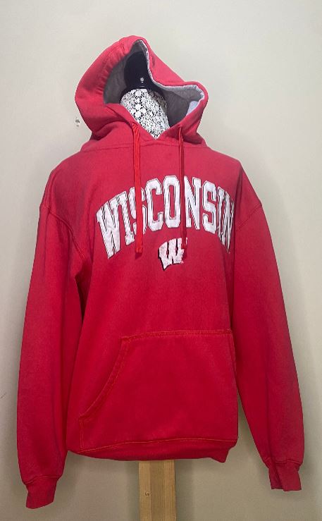 Champion University of Wisconsin Sweatshirt