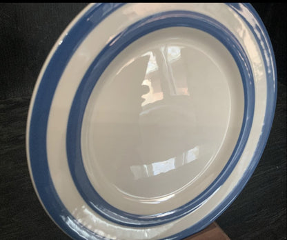 Blue Striped Plate