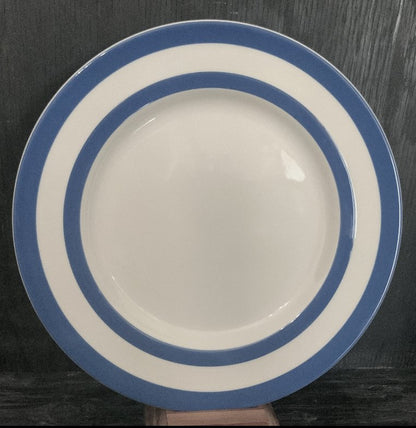 Blue Striped Dinner Plate