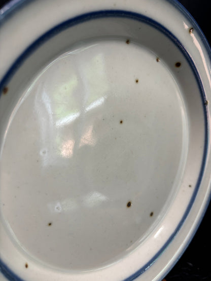 Dansk Blue Mist Plate with white background speckled finish and blue trim