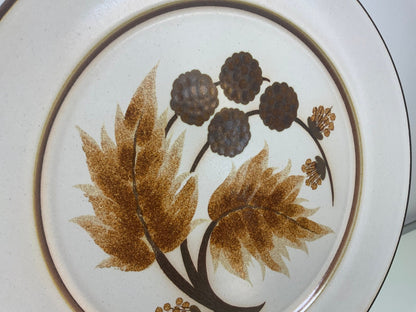 Denby Cotswold Dinner Plates