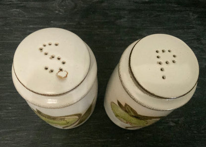 Denby Troubadour Salt and Pepper Shakers