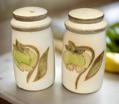 Denby Troubadour Salt and Pepper Shakers