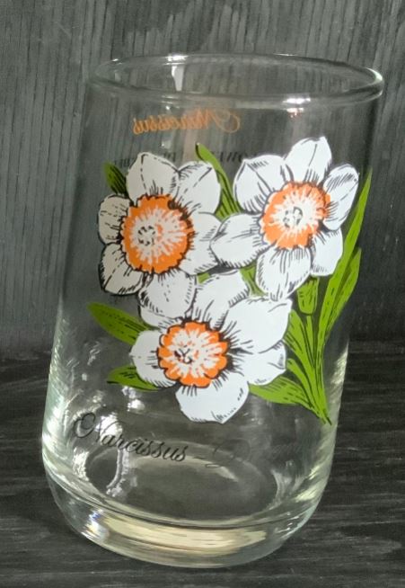 Dominion Glass December Narcissus Flower of the Month Drink Glass