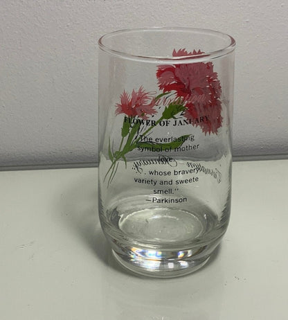 Dominion Glass January Carnation Flower of the Month Drink Glass