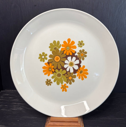 Johnson Brothers Fiesta Dinner Plates