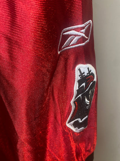 Josh Freeman Tampa Bay Buccaneers Jersey
