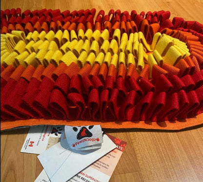 Pawz N Dogz Fire & Ice Anti - Bite Pet Snuffle Mat