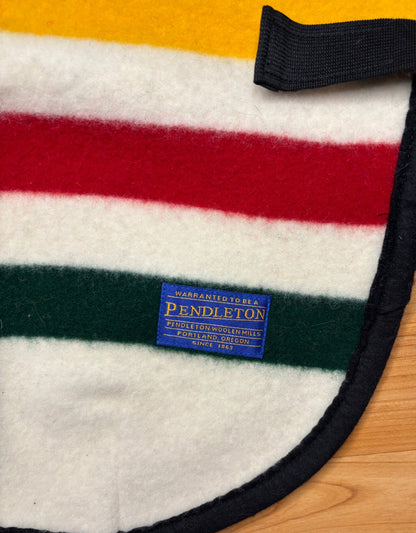 Pottery Barn Pendleton Glacier Small Wool Dog Coat