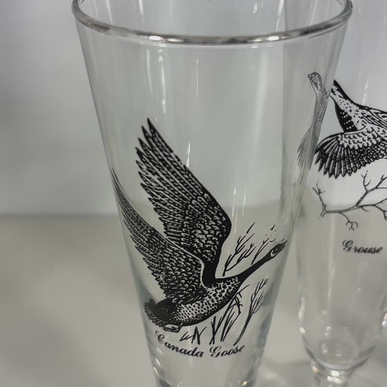 1960s Federal Glass Sportsman Bird Theme Pilsner Glasses Set
