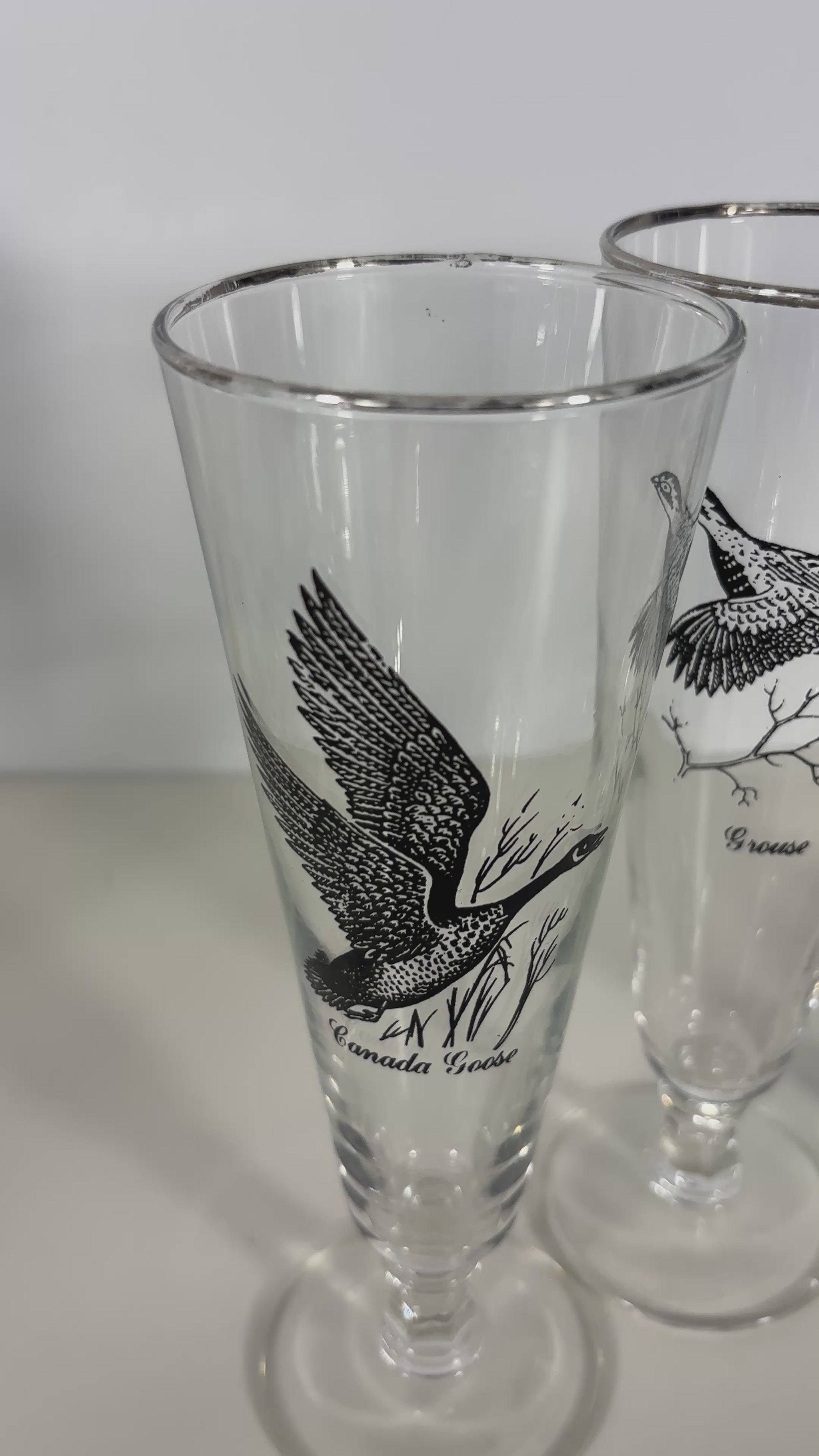 1960s Federal Glass Sportsman Bird Theme Pilsner Glasses Set