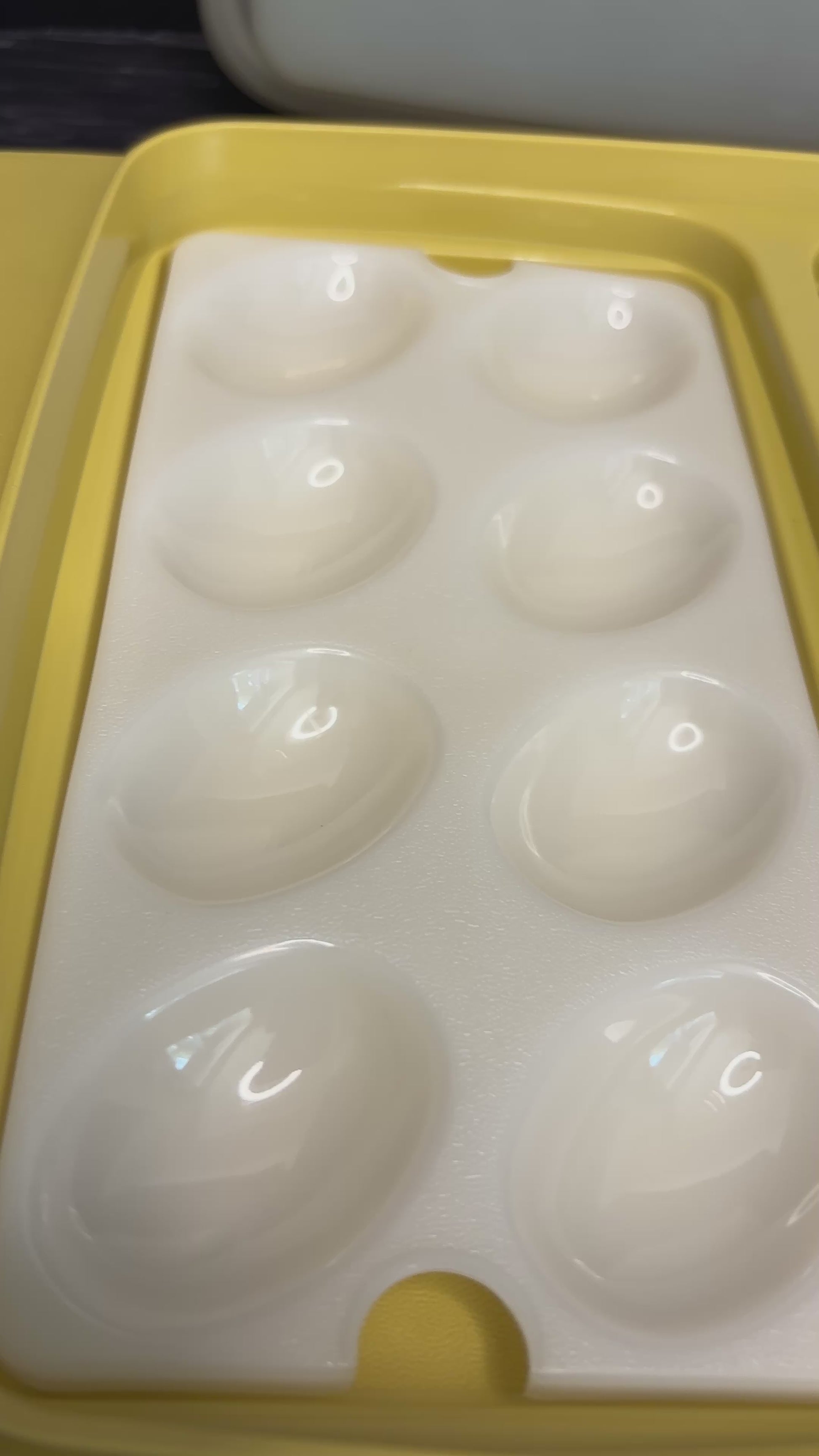 Tupperware Deviled Eggs Carrier