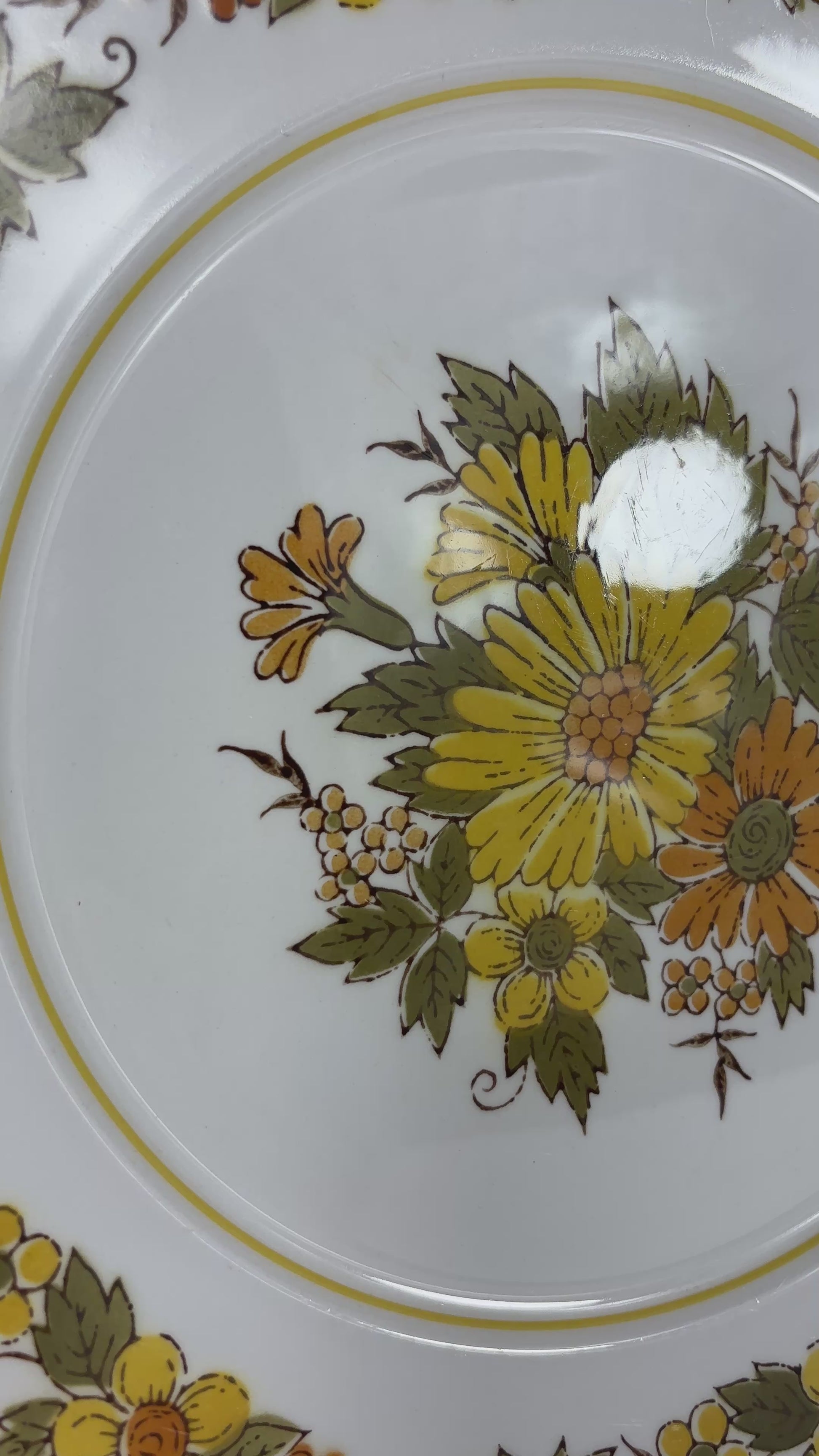 Mikasa Provencal Salem Dinner Plate