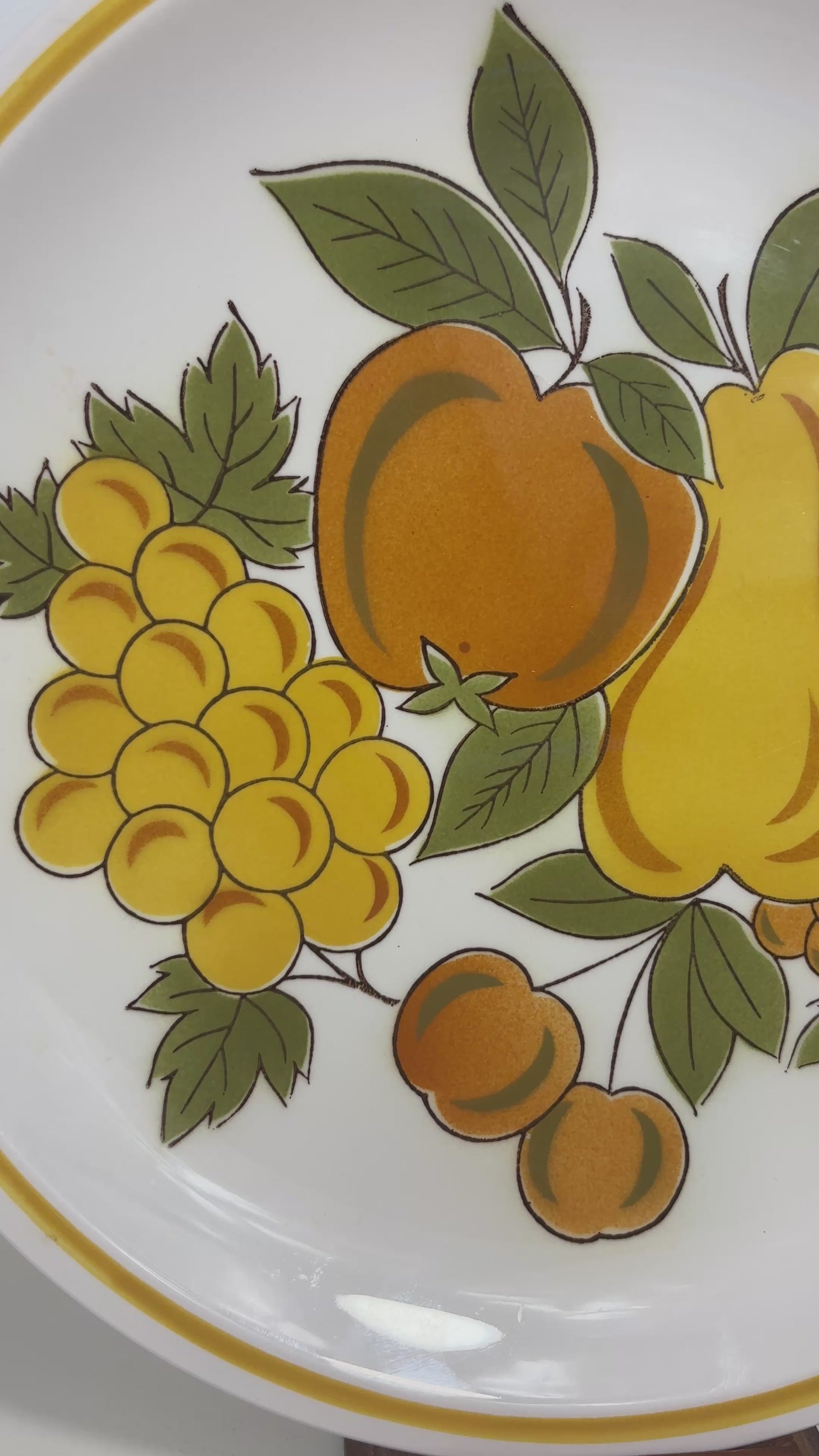 Mikasa Cera Stone Fruit Salad Dinner Plate