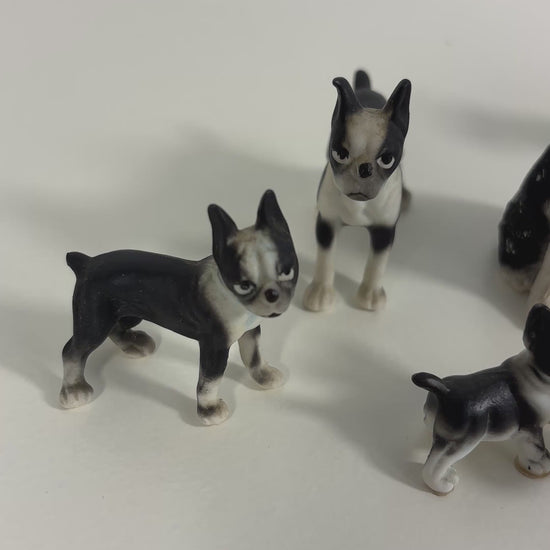 Lot of Boston Terrier Frenchie Mini Dog Figurines