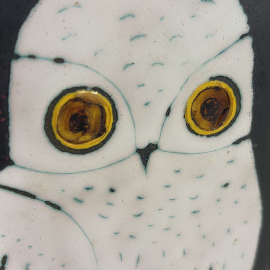 Mid Century Eren Owl Copper on Enamel Wall Hanging