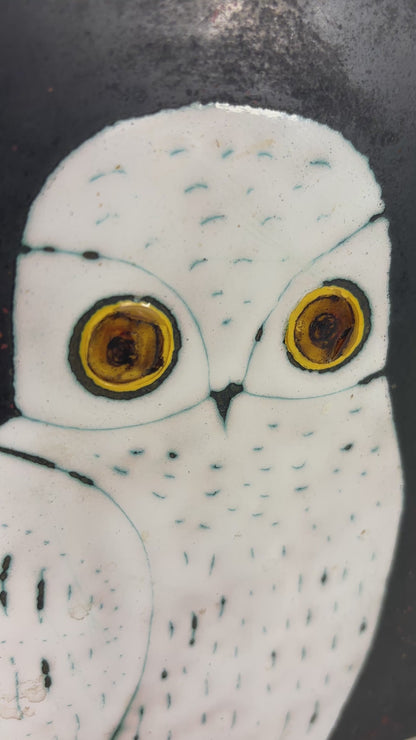 Mid Century Eren Owl Copper on Enamel Wall Hanging