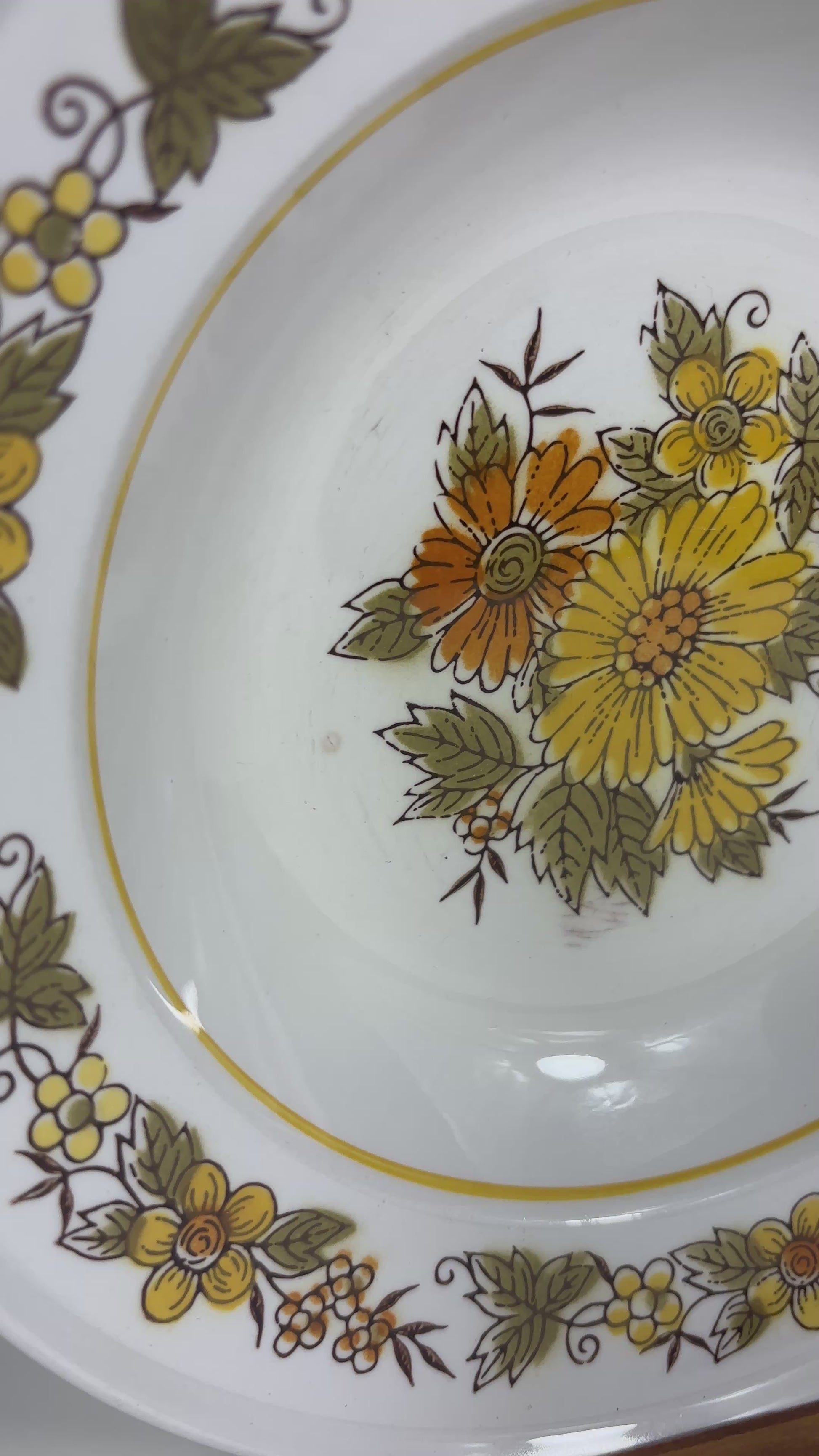 Mikasa Provencal Salem Rim Soup Bowl