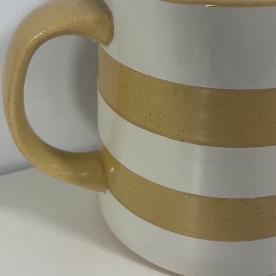 TG Green Judith Onions Striped Milk Jug Pitcher